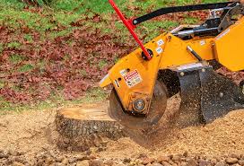 Best Utility Line Clearance  in Metzger, OR